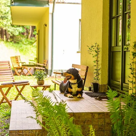 Puchaczowka Guest house Sienna (Klodzko)
