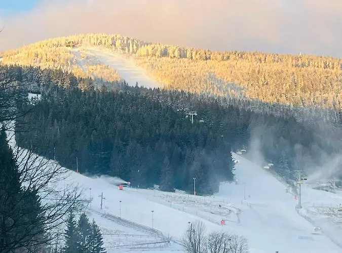 Puchaczowka Affittacamere 3*