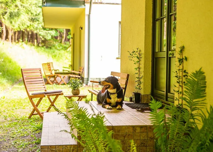 Puchaczowka Guest house Sienna (Klodzko)